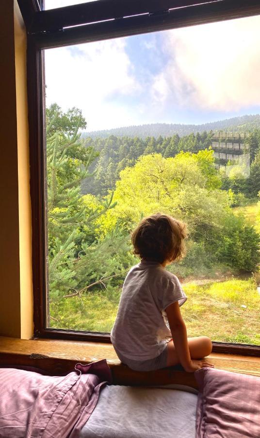 Villa Wild Escape Racha Ambrolaouri
